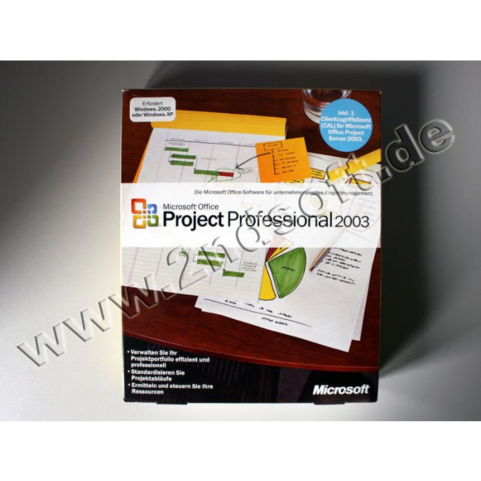 Project 2003