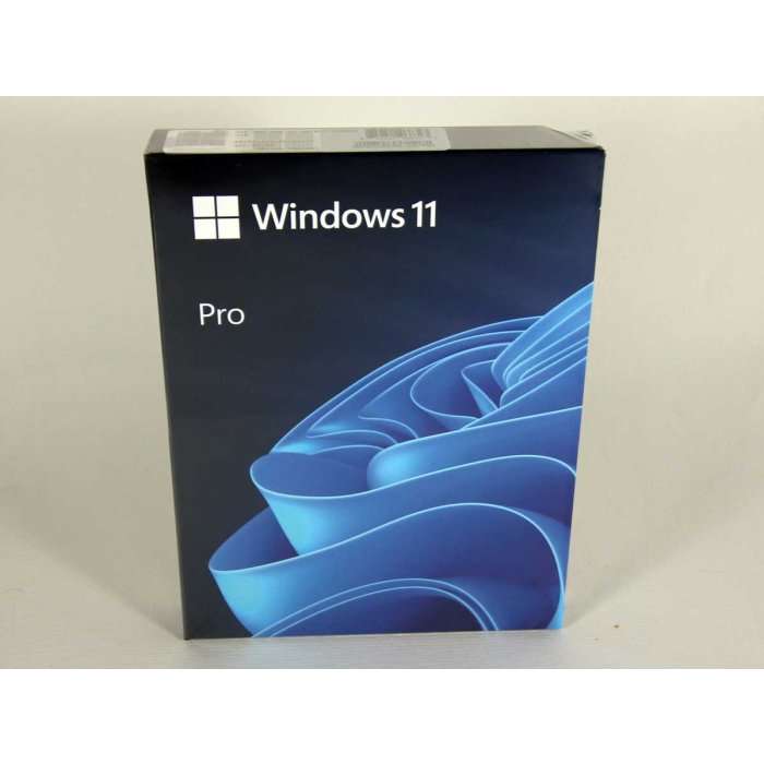 Windows 11 Professional Windows 11 Professional