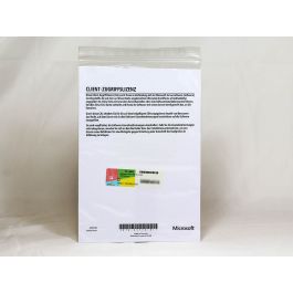 50 Zugriffslizenzen (Benutzer) für Windows 2019 Server, OEM (HP) - neu