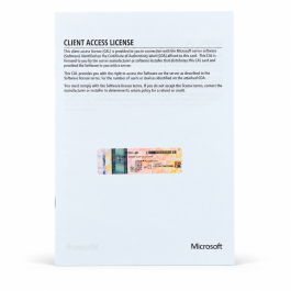 10 Zugriffslizenzen (Benutzer) für Windows 2025 Server, OEM (HP) - neu