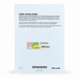 5 Zugriffslizenzen (Benutzer) für Windows 2019 Server, OEM (Bluechip) - neu