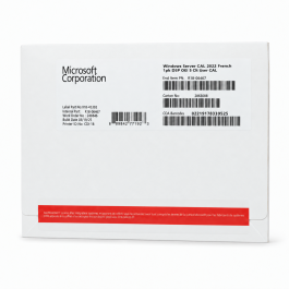 5 Zugriffslizenzen (Benutzer) für Windows 2022 Server, SB - neu