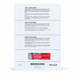 5 Zugriffslizenzen (Geräte) für Windows 2022 Server, Wortmann-OEM, deutsch