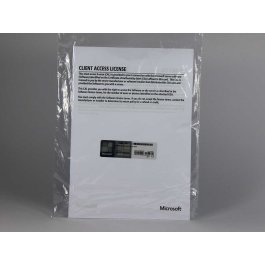 10 Zugriffslizenzen (Benutzer) für Windows 2022 Server, OEM (HP), deutsch - neu