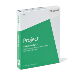 Project 2013 Professional, englisch - neu