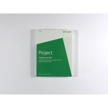 Project 2013