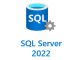 SQL-Server 2022